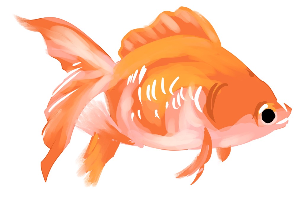 Medical Illustration